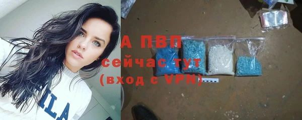 гашик Надым