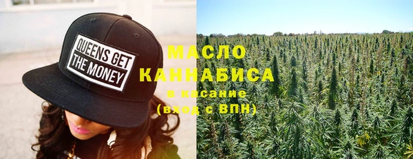 гашик Надым