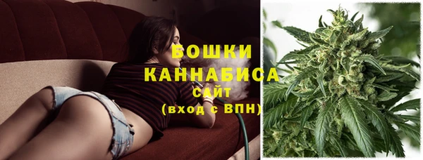 гашик Надым