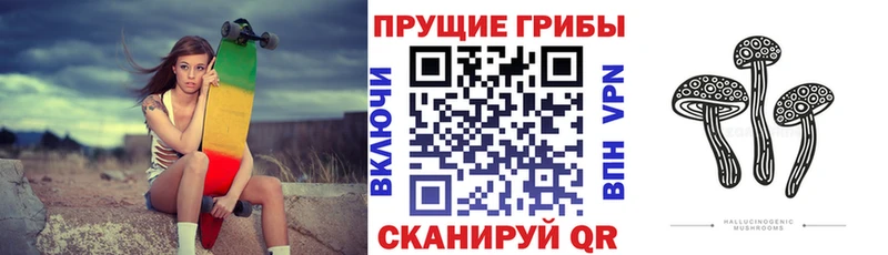 наркошоп  Харабали  Псилоцибиновые грибы MAGIC MUSHROOMS 